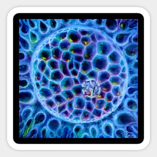 Cell nucleus Sticker